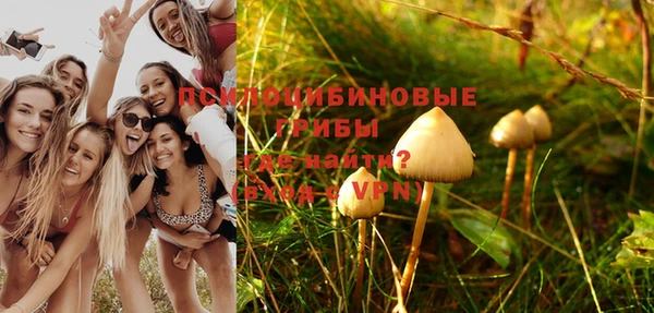 стаф Алзамай
