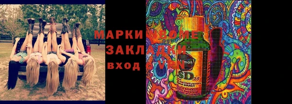 стаф Алзамай