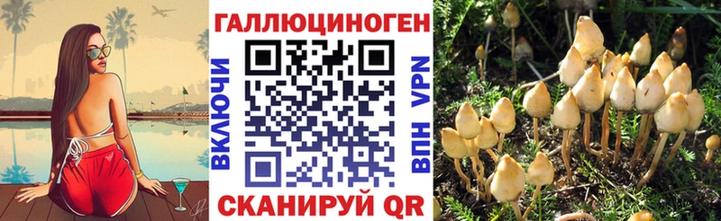 Галлюциногенные грибы прущие грибы  купить наркоту  Мамадыш 